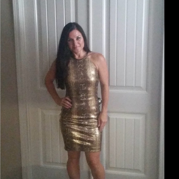 Cache Gold Patterned Midi Dress - Picture 4 of 5